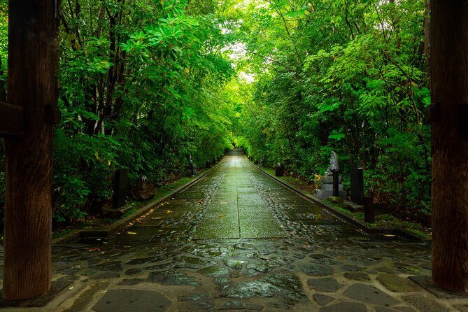 Nikko: Sacred Mountains, Shoguns, & Japans Spiritual Heart - What Does the Tour Include and What Doesn’t?