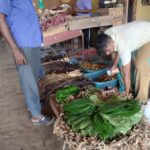 Nilaveli: Trinco City tour by Tuk Tuk - Why Choose This Trincomalee Tuk-Tuk Tour?