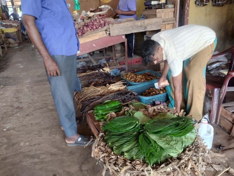 Nilaveli: Trinco City tour by Tuk Tuk - Why Choose This Trincomalee Tuk-Tuk Tour?