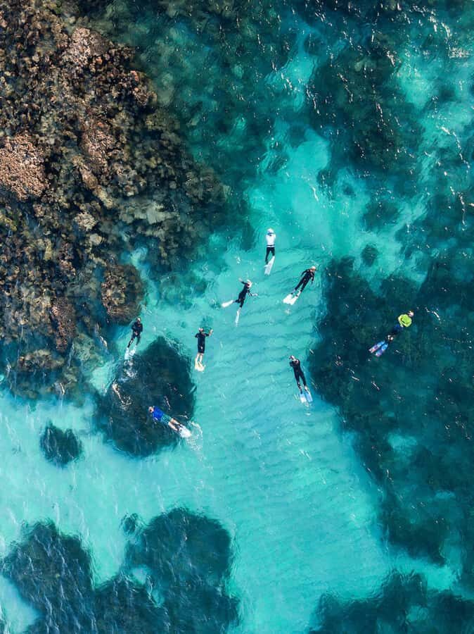 Ningaloo: Snorkelling & Coral Viewing Semi Submersible Tour - The Semi-Submersible Experience