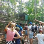 Ninh Binh: Cuc Phuong Jungle Hike & Wildlife Day Tours - First Stop: Endangered Primate Rescue Center