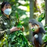 Ninh Binh: Cuc Phuong National Park, Jungle Hike & Wildlife - Paying Attention to the Details