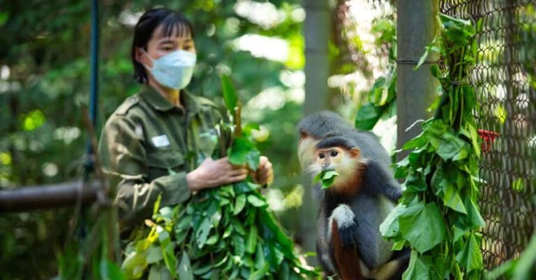 Ninh Binh: Cuc Phuong National Park, Jungle Hike & Wildlife - Paying Attention to the Details