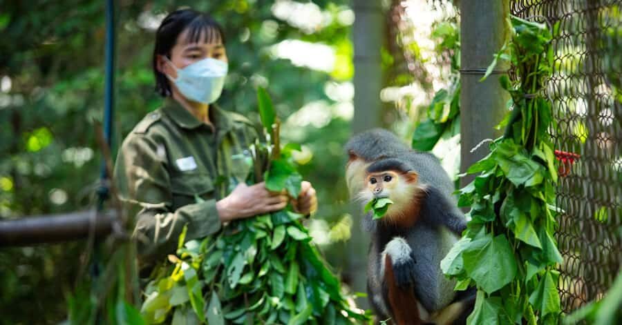 Ninh Binh: Cuc Phuong National Park, Jungle Hike & Wildlife - Paying Attention to the Details