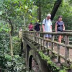 Ninh Binh: CUC PHUONG Park Jungle Hike Day Tour, SMALL GROUP - The Value of This Tour