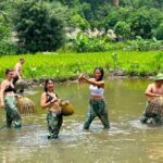 Ninh Binh Motorbike Tour: Discover Secret Gems in One Day - Why This Tour Offers Good Value