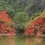 Ninh Binh Trang An Bai Dinh Pagoda Mua Cave Tour From Hanoi - Authentic Insights from Reviews