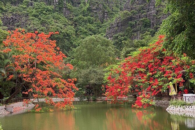 Ninh Binh Trang An Bai Dinh Pagoda Mua Cave Tour From Hanoi - Authentic Insights from Reviews