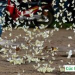 Ninh Binh Vietnam 2 Days - Discover multiple wonderful places - Exploring the Itinerary in Detail