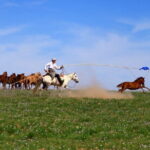 Nomad Ride - Final thoughts