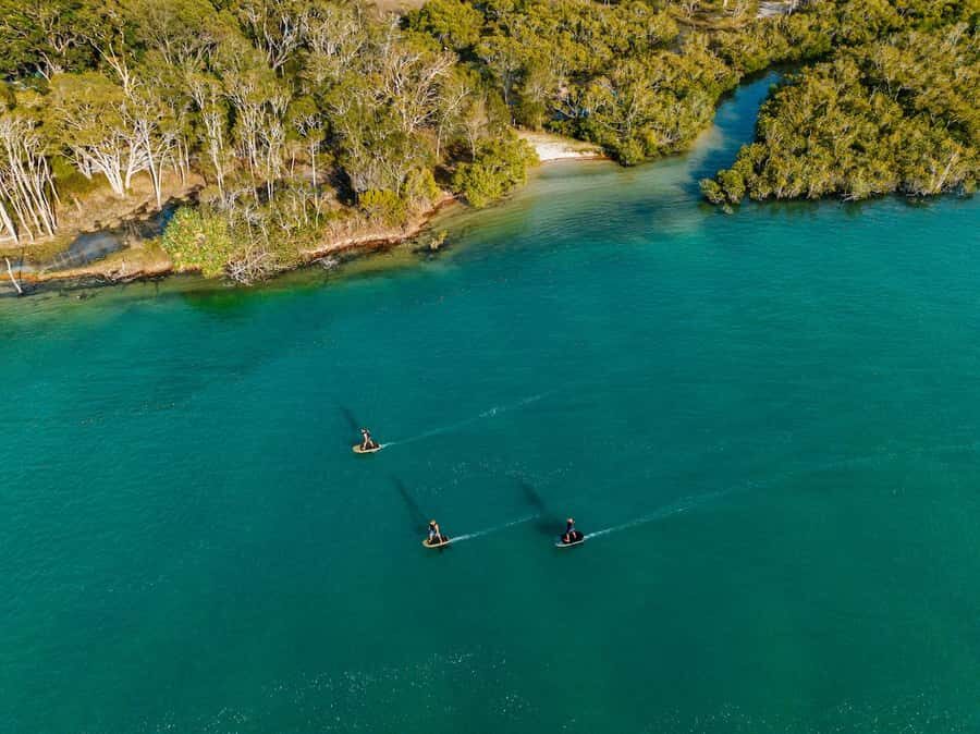 Noosa: eFoil Experience with Instructor and Equipment - The Authentic Experience: What Reviewers Say