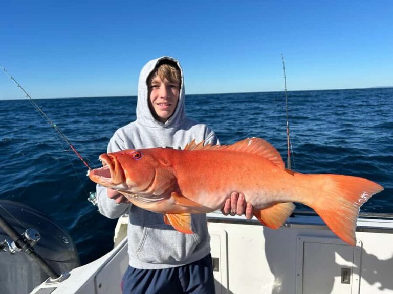 Noosa: Offshore Fishing Charter - Who Should Consider This Tour?