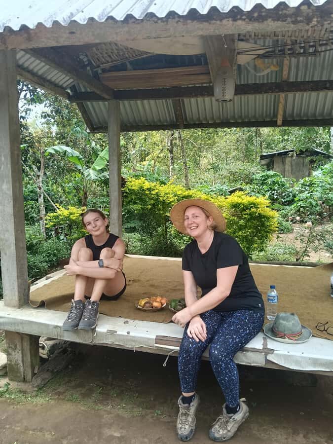 North Bali Authentic: Off-the-Beaten-Path Experience - The Highlights: Waterfalls, Villages, and Scenic Treks