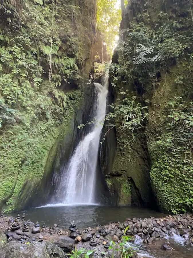 North Bali: Explore Munduk Waterfall Trekking Experience - Who Is This Tour Best For?