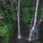 North Bali Sekumpul and Banyumala Waterfalls with Rice Terraces - Practical Details & Value
