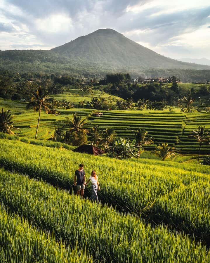 North Bali: Taman Ayun Temple, Jatiluwih, Campuhan Waterfall - What Makes This Tour Special?
