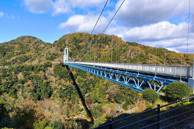 North Ibaraki Tour - What the Tour Includes and What to Expect