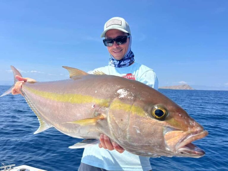 North Komodo: Private Full-Day Fishing Trip by Speedboat - What Makes This Tour Special?