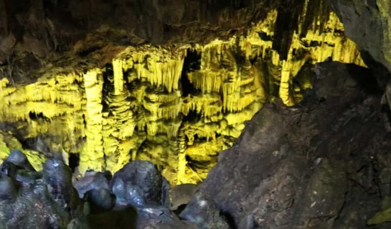 North Kyushu Tour: Akiyoshido Cave & Motonosumi Inari Shrine - Exploring Akiyoshido Cave: Nature’s Underground Masterpiece