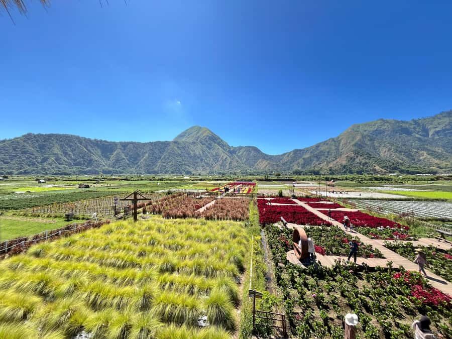 North Lombok: Explore Sendang Gile, Tiu Kelep & Selong Hill - In-Depth Breakdown of the Itinerary