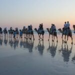 North of Rocks on Cable Beach: 1-Hour Sunset Camel Ride - What to Expect from the Itinerary