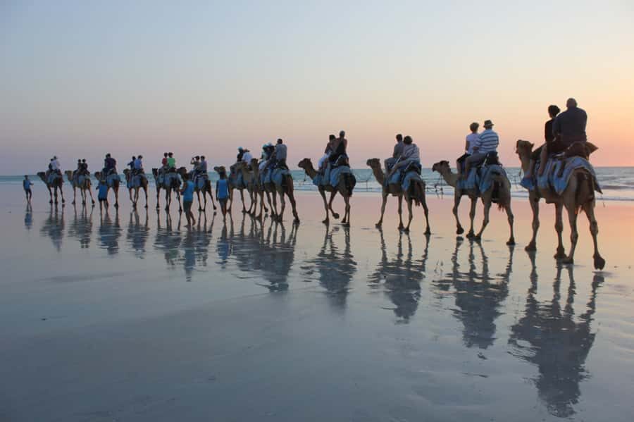 North of Rocks on Cable Beach: 1-Hour Sunset Camel Ride - What to Expect from the Itinerary