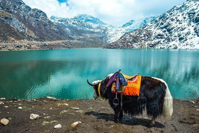 North Sikkim 6 Days Tour - Are the accommodations and meals good value?