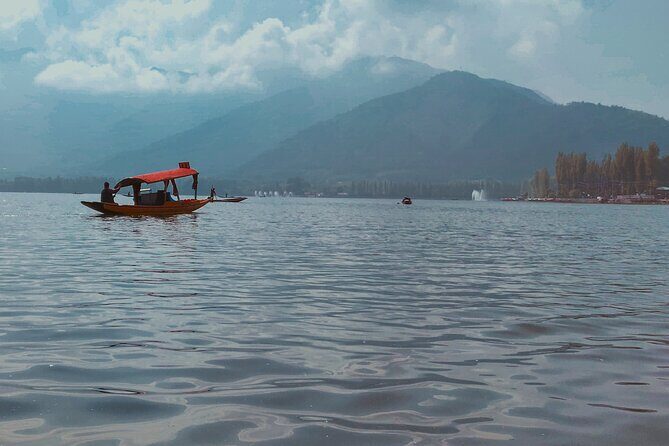 Northern Indian Tapestry On Private Jet - Detailed Breakdown of the Itinerary