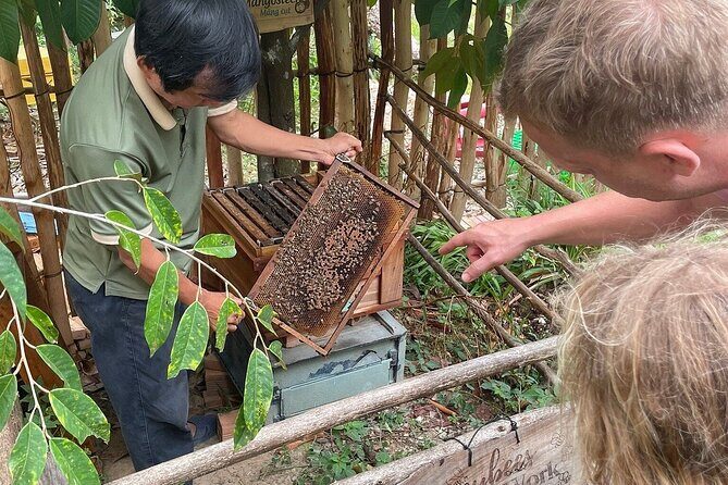 Northern Phu Quoc Highlights Kayak Tour - Who Will Love This Tour?