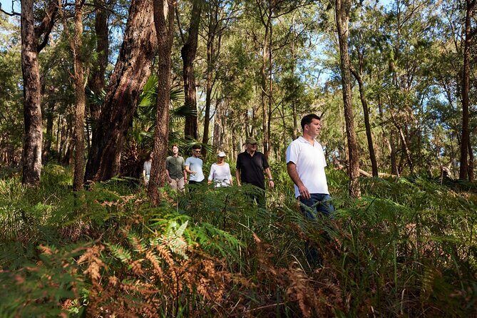 Northern Sydney Beaches and Beyond - Cultural Discoveries: Aboriginal Rock Carvings