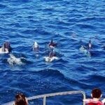 Northern Taiwan (Taipei, New Taipei City, Yilan County) 3-Day Tour - What Makes This Tour Stand Out?