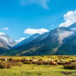 Northern Xinjiang: 10-Day Private Tour with Duku Highway - The Duku Highway: The Crown Jewel