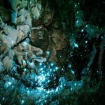 Northland Hidden Gems Glowworm Cave, Beach and Café Experience - Final Thoughts: Is This Tour Worth It?
