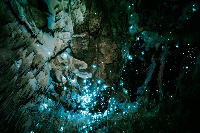 Northland Hidden Gems Glowworm Cave, Beach and Café Experience - Final Thoughts: Is This Tour Worth It?