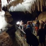 Northland Hidden Gems: Glowworm Cave, Beach & Art Café - The Practicalities: What You Need to Know