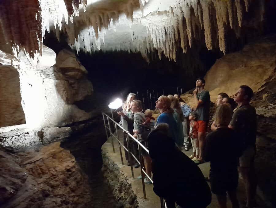 Northland Hidden Gems: Glowworm Cave, Beach & Art Café - The Practicalities: What You Need to Know