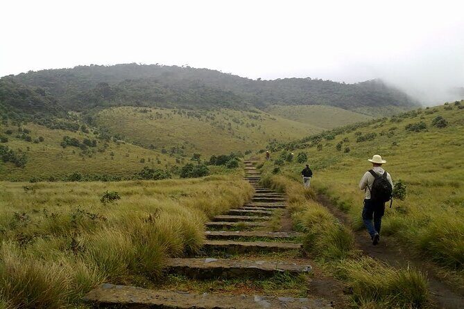 Nuawara Eliya Horton Plains Tea Plantaition and Water Fall with Lunch - Who Will Love This Tour?