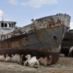 Nukus Private Transfer with Aral Sea View - Pricing and Value