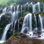 Nungnung Waterfall & Jatiluwih Rice Fields Tour - A Sip of Bali: Coffee Plantation Experience