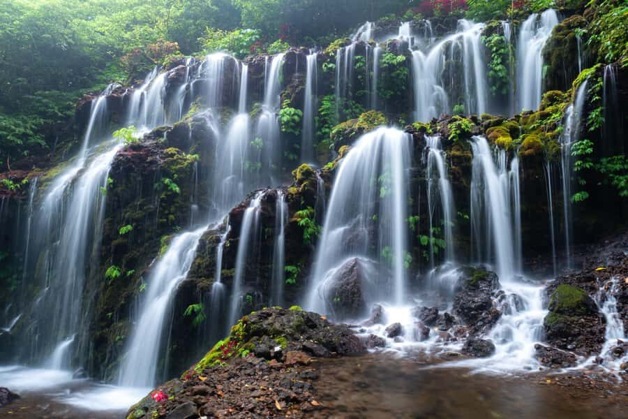 Nungnung Waterfall & Jatiluwih Rice Fields Tour - A Sip of Bali: Coffee Plantation Experience