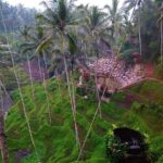 Nungnung waterfall, Sangeh village & Bali swing - What You’ll Love About This Tour