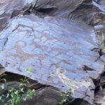 Nurata Mountain & Kyzyl-kum Desert 3 Day Tour From Samarkand or Bukhara - The Value of the Experience