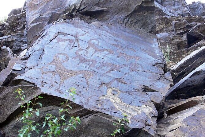 Nurata Mountain & Kyzyl-kum Desert 3 Day Tour From Samarkand or Bukhara - The Value of the Experience