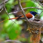 Nuratau Village Home Stay and Hiking tours from Bukhara - What to Expect from the Experience