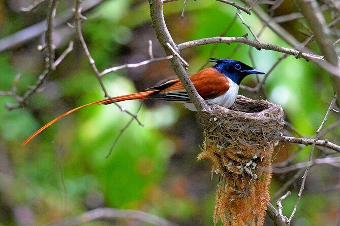 Nuratau Village Home Stay and Hiking tours from Bukhara - What to Expect from the Experience