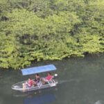 Nusa Dua: Suwung Mangrove Glass Bottom Boat Tour - Detailed Breakdown of the Itinerary