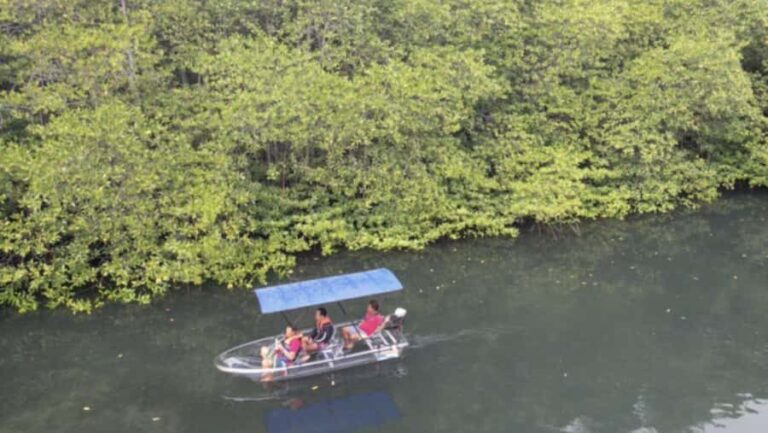 Nusa Dua: Suwung Mangrove Glass Bottom Boat Tour - Detailed Breakdown of the Itinerary