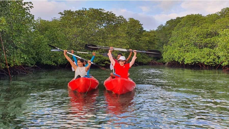 Nusa Dua: Suwung Mangrove Glass Bottom Boat Tour - The Itinerary Breakdown