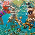 Nusa Lembongan Island and Snorkeling Adventure - Who Will Love This Tour?