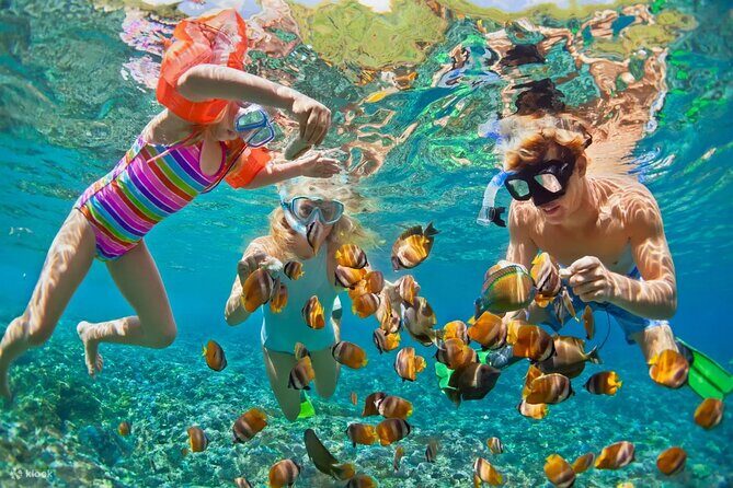 Nusa Lembongan Island and Snorkeling Adventure - Who Will Love This Tour?
